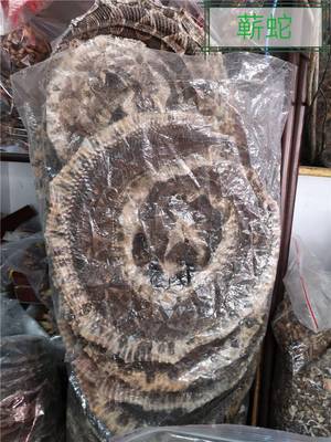 中药材批发网 金钱白花蛇真伪鉴别的关键要点